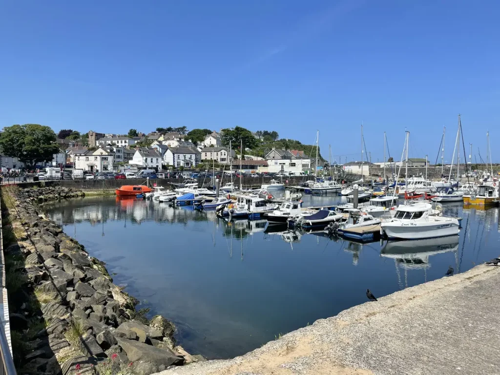 a harbor with boats and buildings